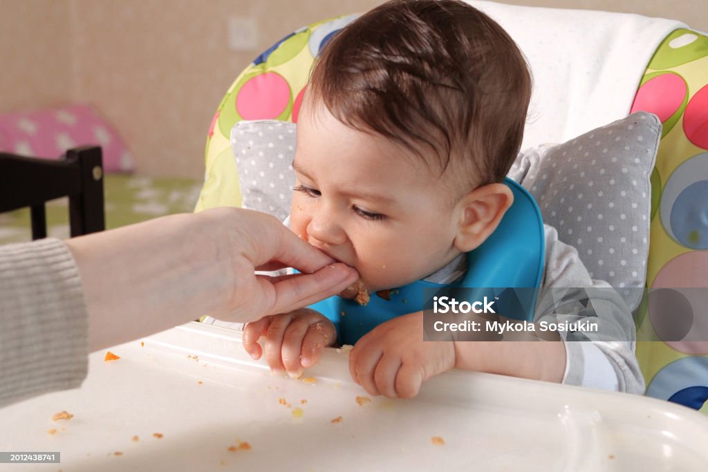 The First Bite: Introducing Solids While Continuing to Breastfeed.